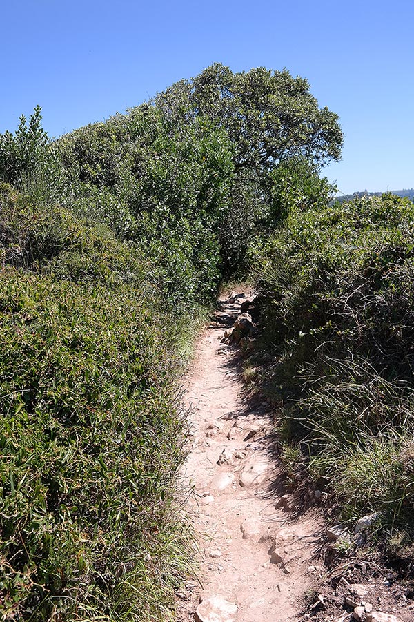 Algorri Trail, Ruta del Flysch, Zumaia, Spain