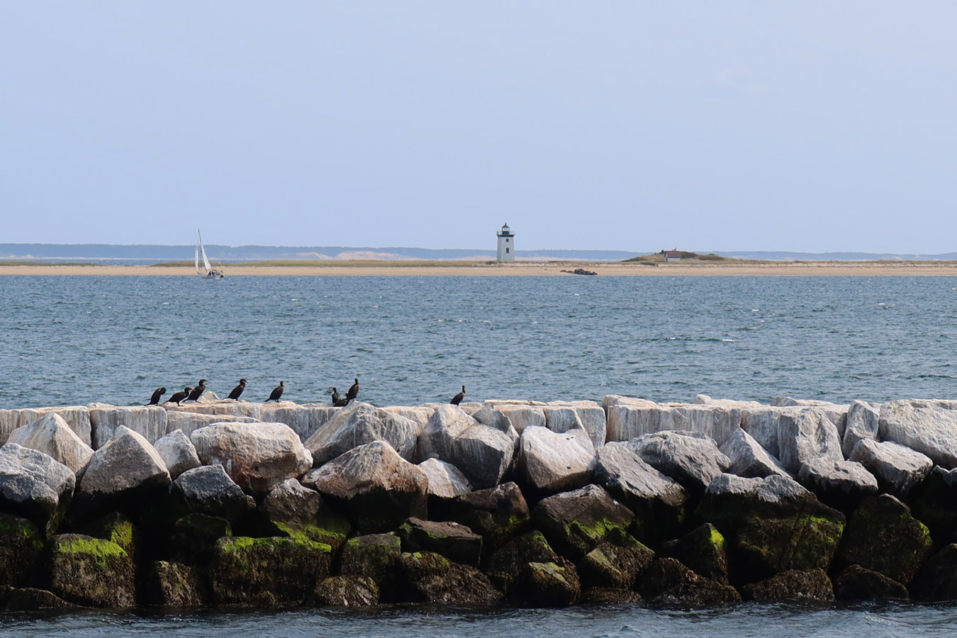 Whale Watch Tour, Provincetown, Cape Cod, Massachusetts