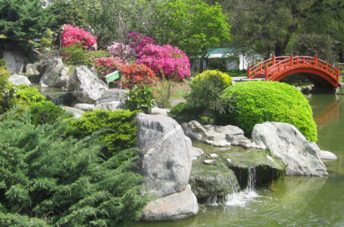 Parque Tres de Febrero | Buenos Aires, Argentina