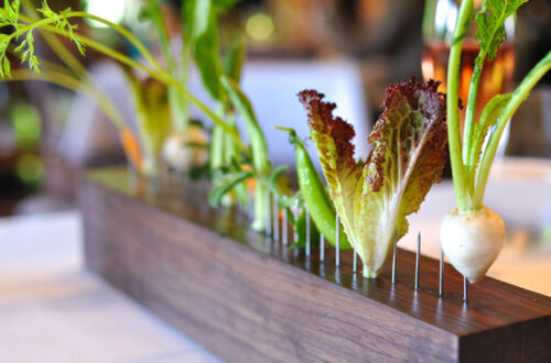 Vegetables on a Fence | Blue Hill at Stone Barns