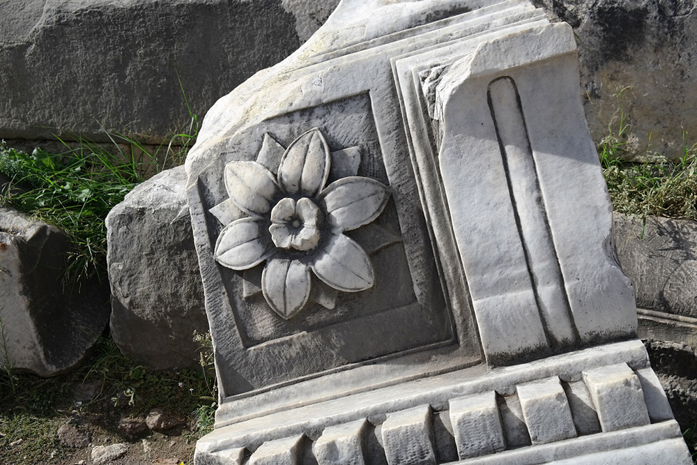 Flower stone detail, Foro Romano, Rome, Italy