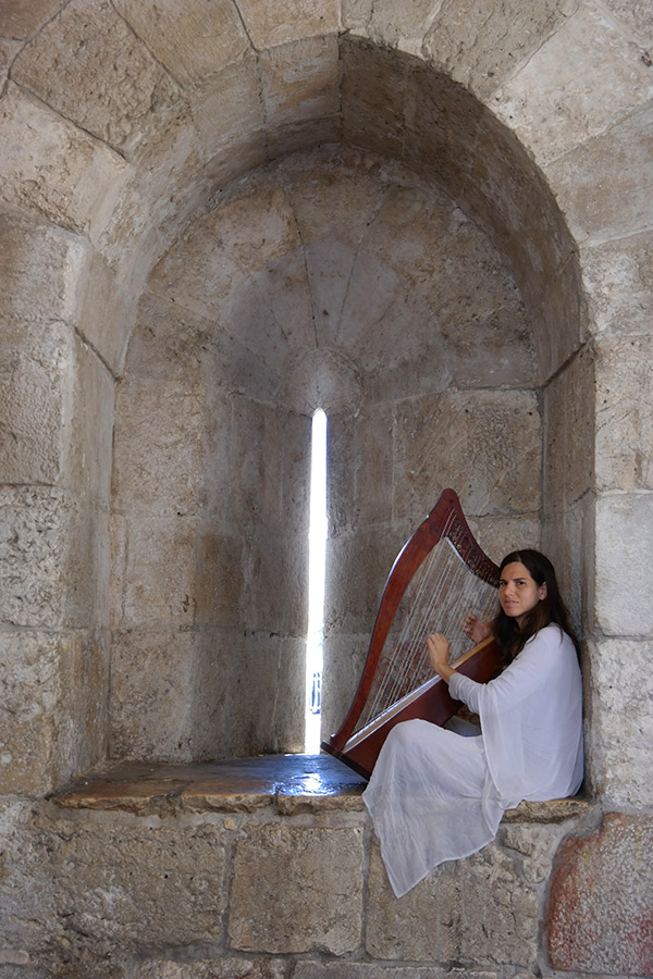 Harpist at Jaffa Gate, Old City, Jerusalem