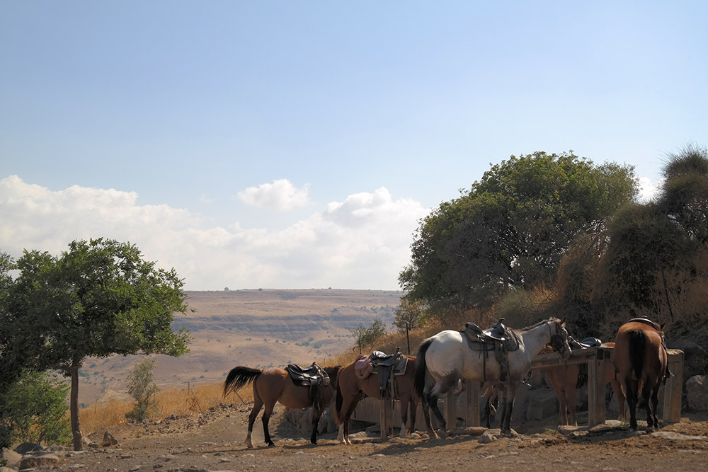 Ramot Ranch, Golan Heights, Israel