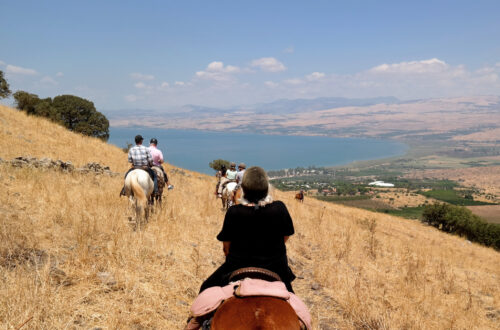 Ramot Ranch | Golan Heights, Israel