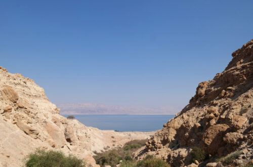 Ein Gedi Reserve | Israel