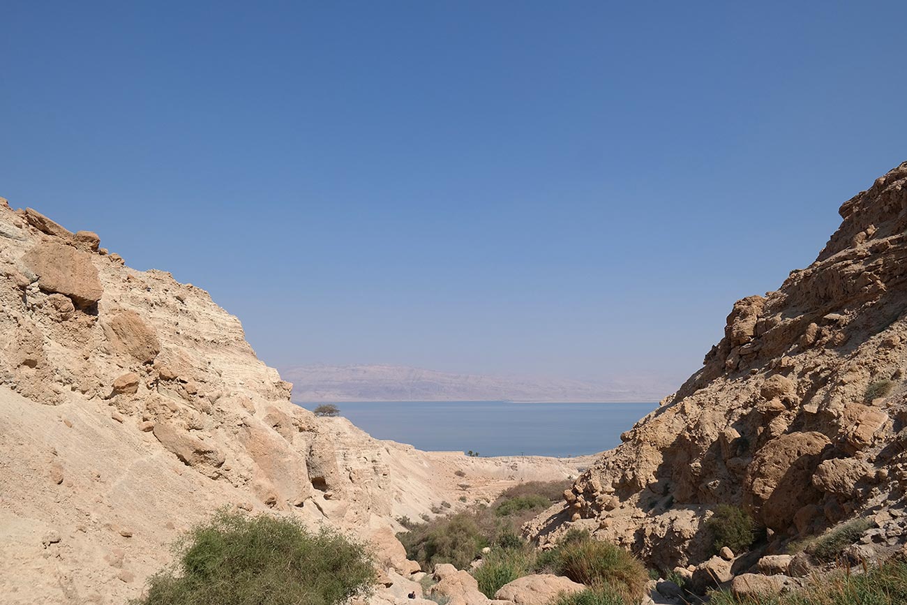 Ein Gedi Reserve, Israel