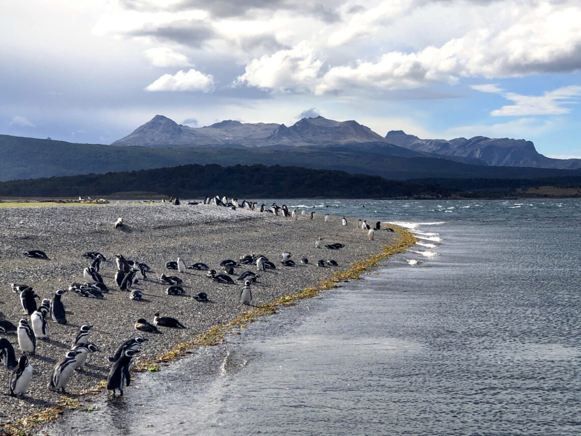 Tierra del Fuego | Argentina