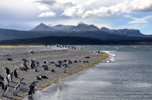 Tierra del Fuego | Argentina