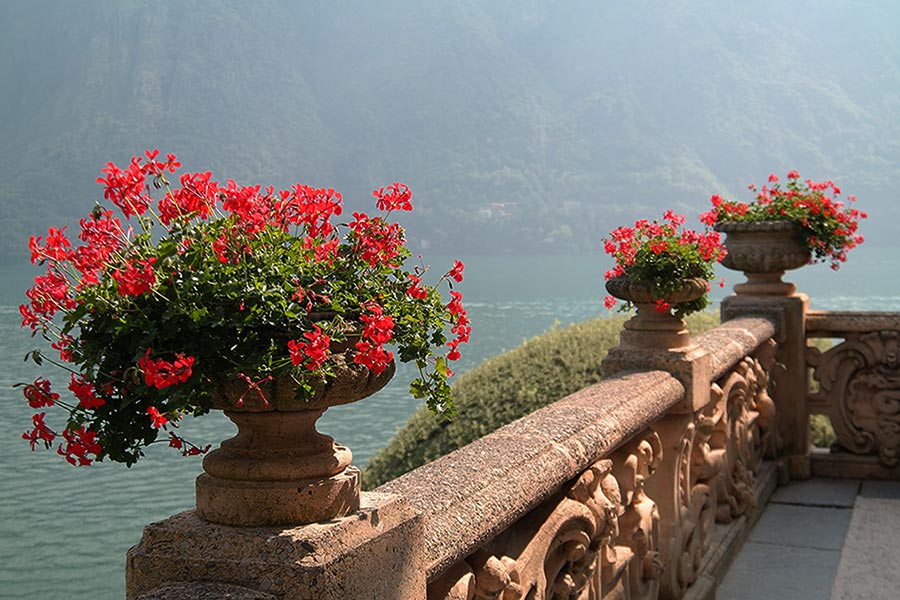 Villa del Balbianello Geraniums, Lake Como, Italy