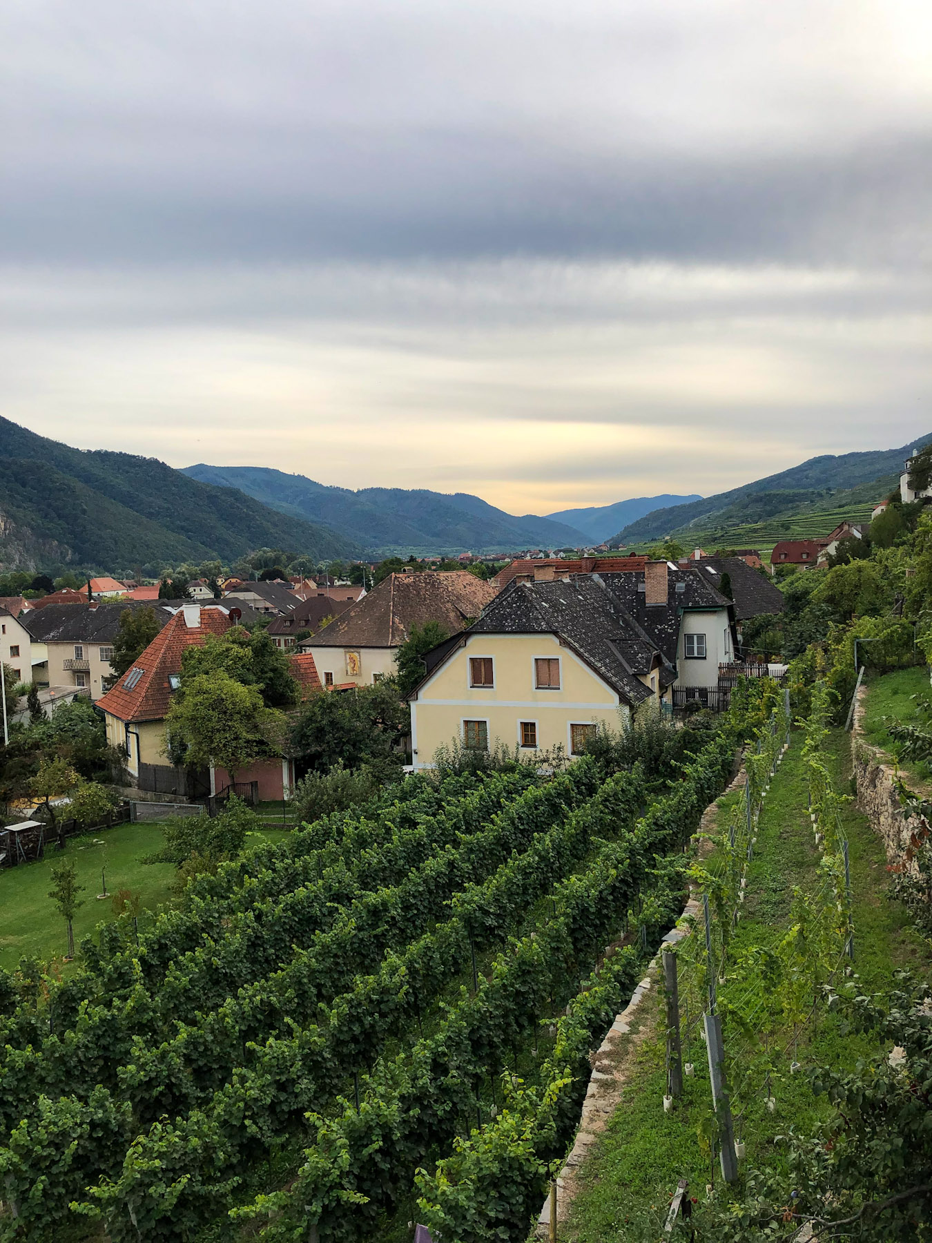 View of the Wachau from Weißenkirchen, Austria