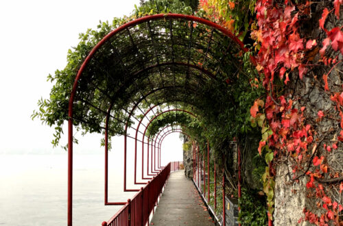 Greenway dei Patriarchi | Varenna, Italy