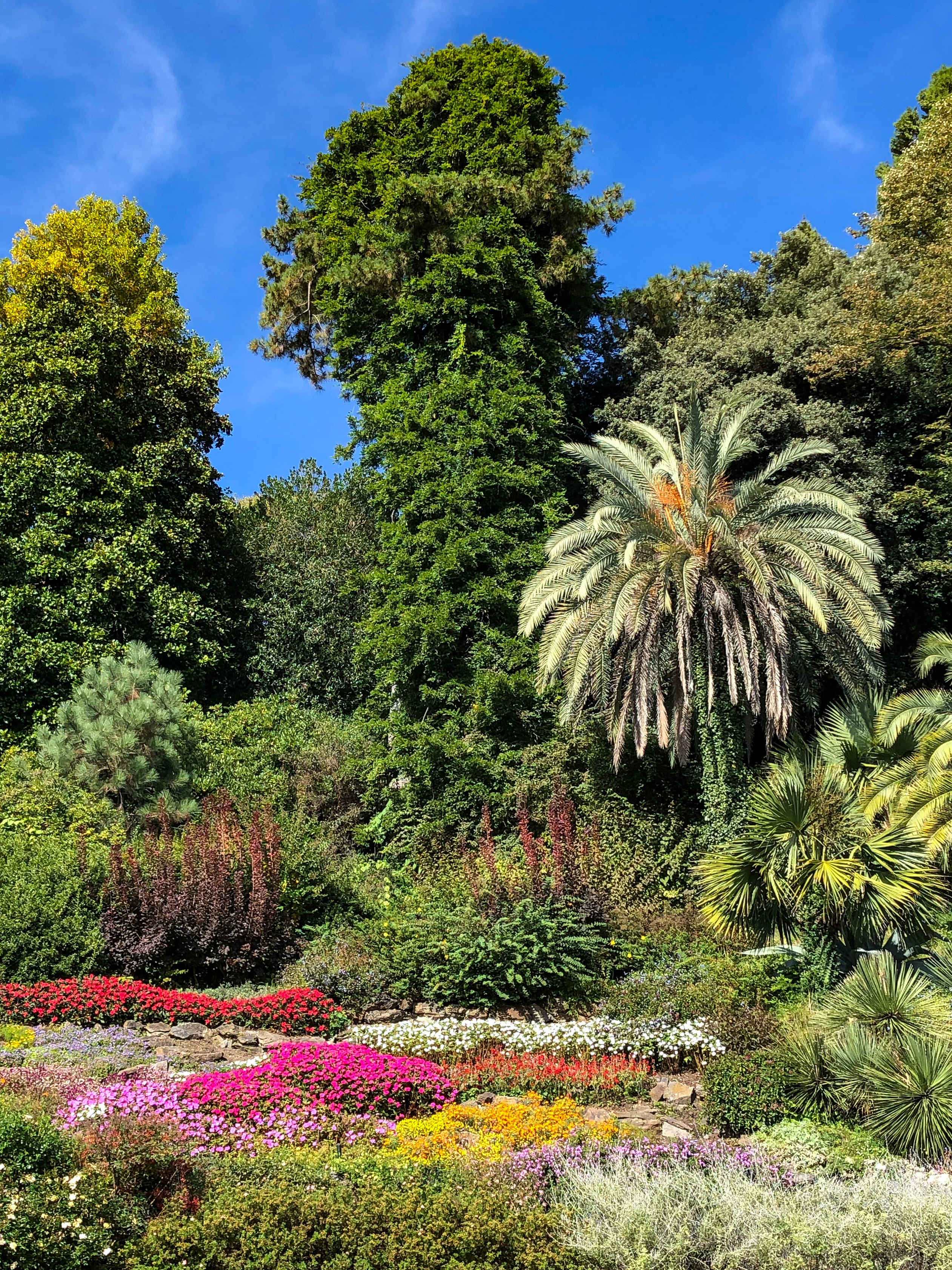 Botanical Gardens of Villa Carlotta in Tremezzina, Italy