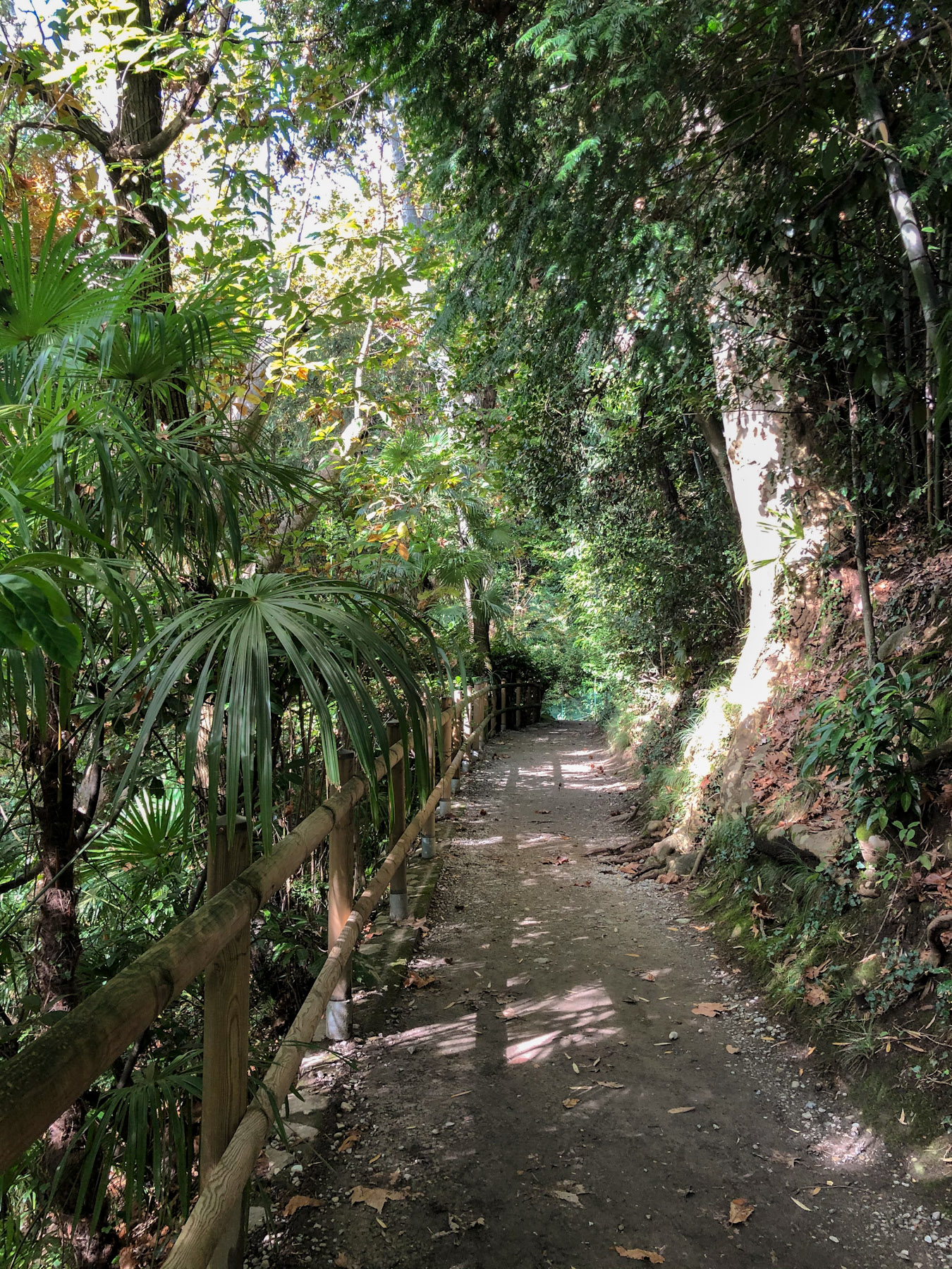 Walking Trail in the Botanical Gardens of Villa Carlotta, Tremezzina, Italy