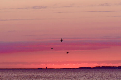 Sunset over Provincetown | Cape Cod, Massachusetts