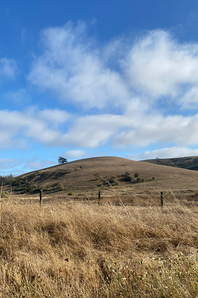 Golden Hills of Western Sonoma County, California