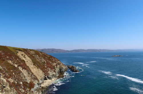 Bodega Head, California