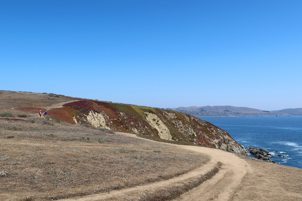 Bodega Head, Sonoma Coast, California