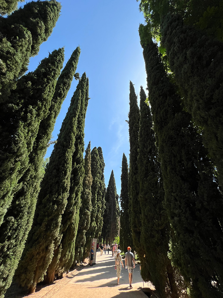 Paseo de los Cipréses, Generalife, Alhambra, Spain