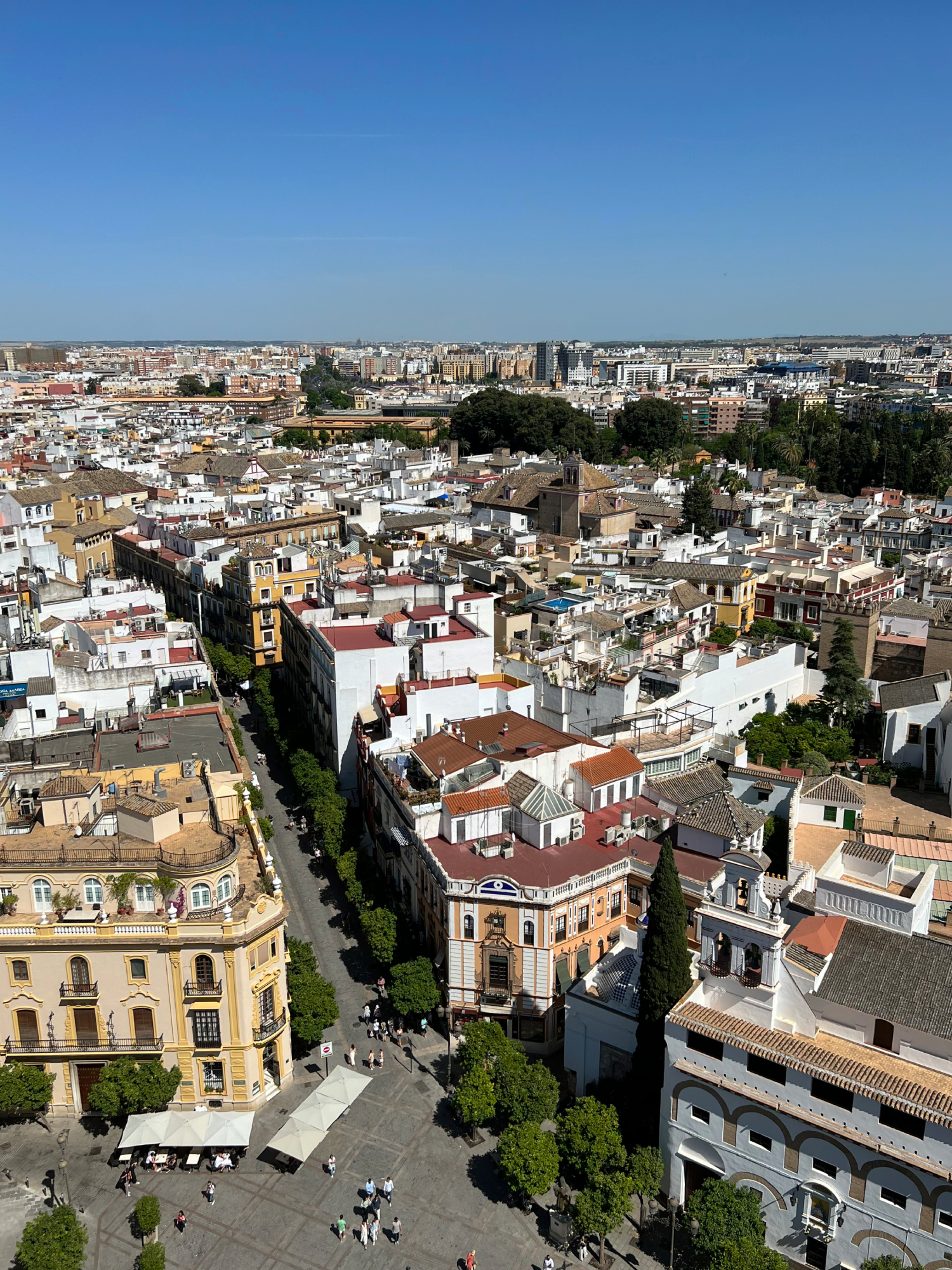 View from the Giralda, Seville Cathedral