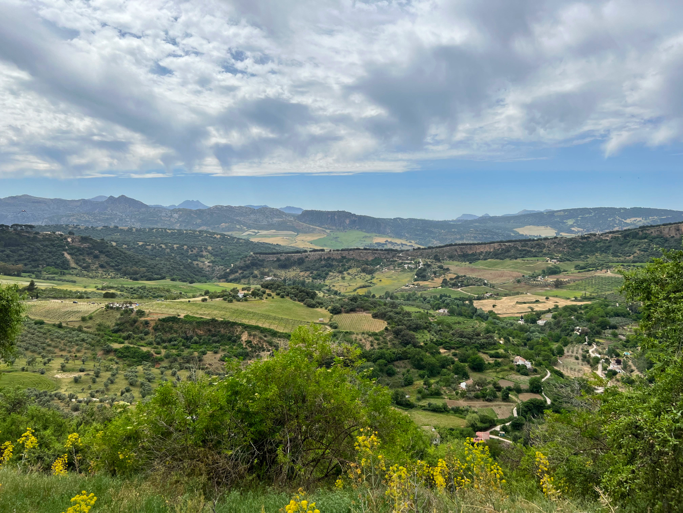 Guadalevín River Valley, Ronda, Andalusia, Spain