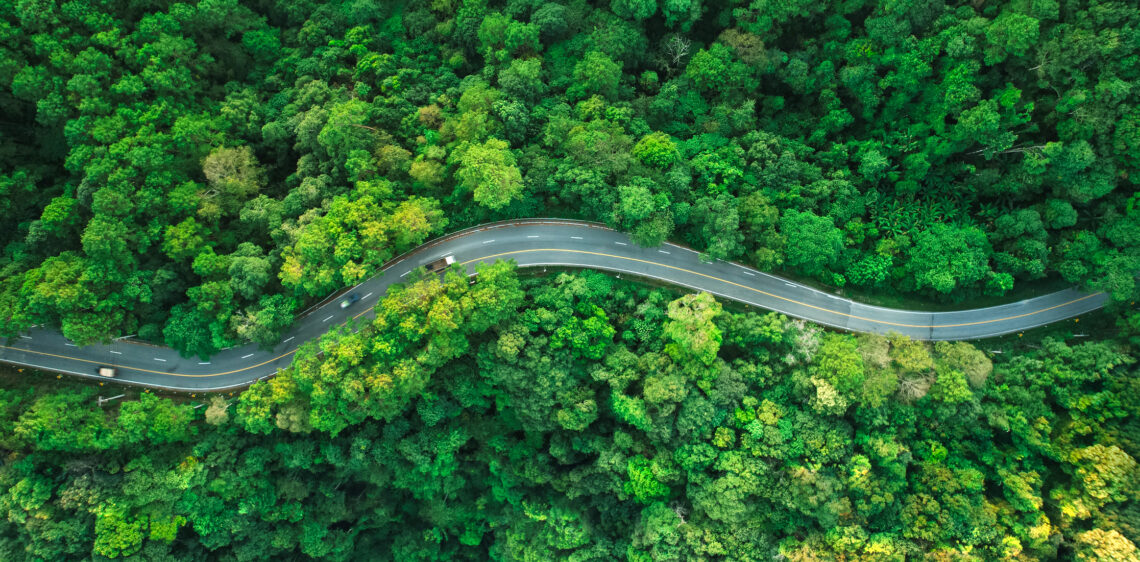 Aerial view of a forest in Vietnam