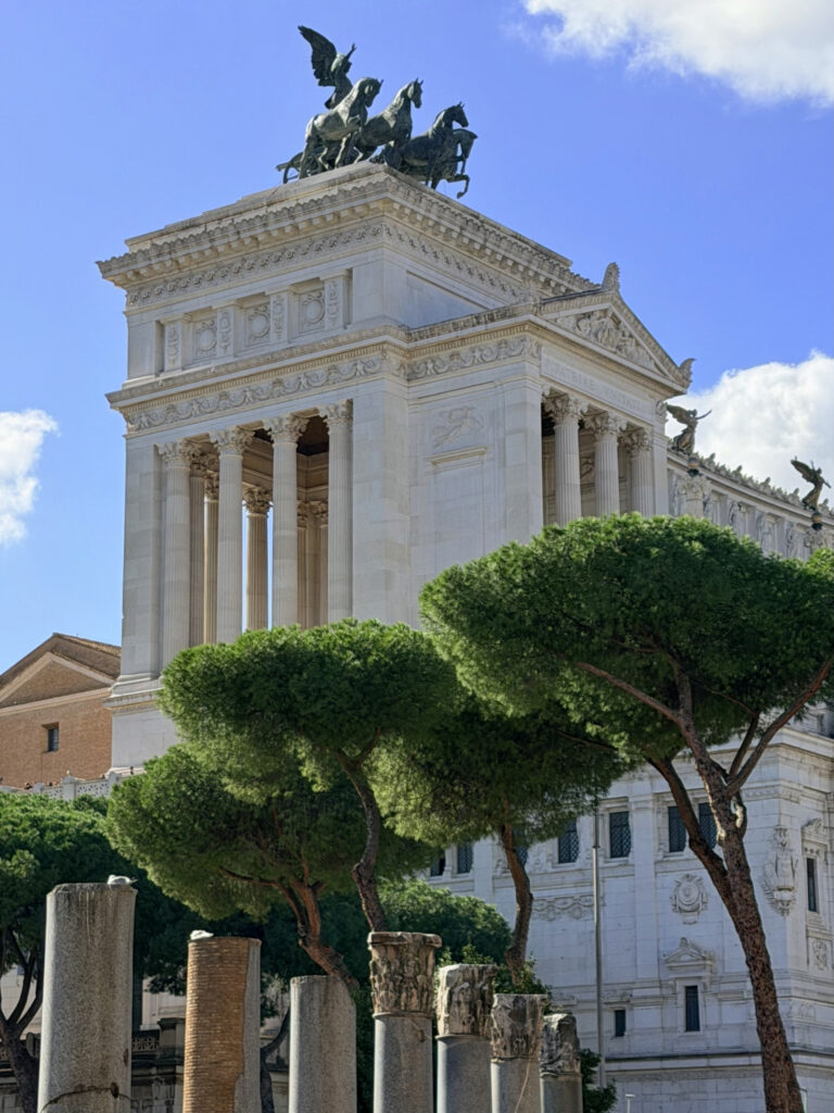 Vittoriana and Umbrella pines