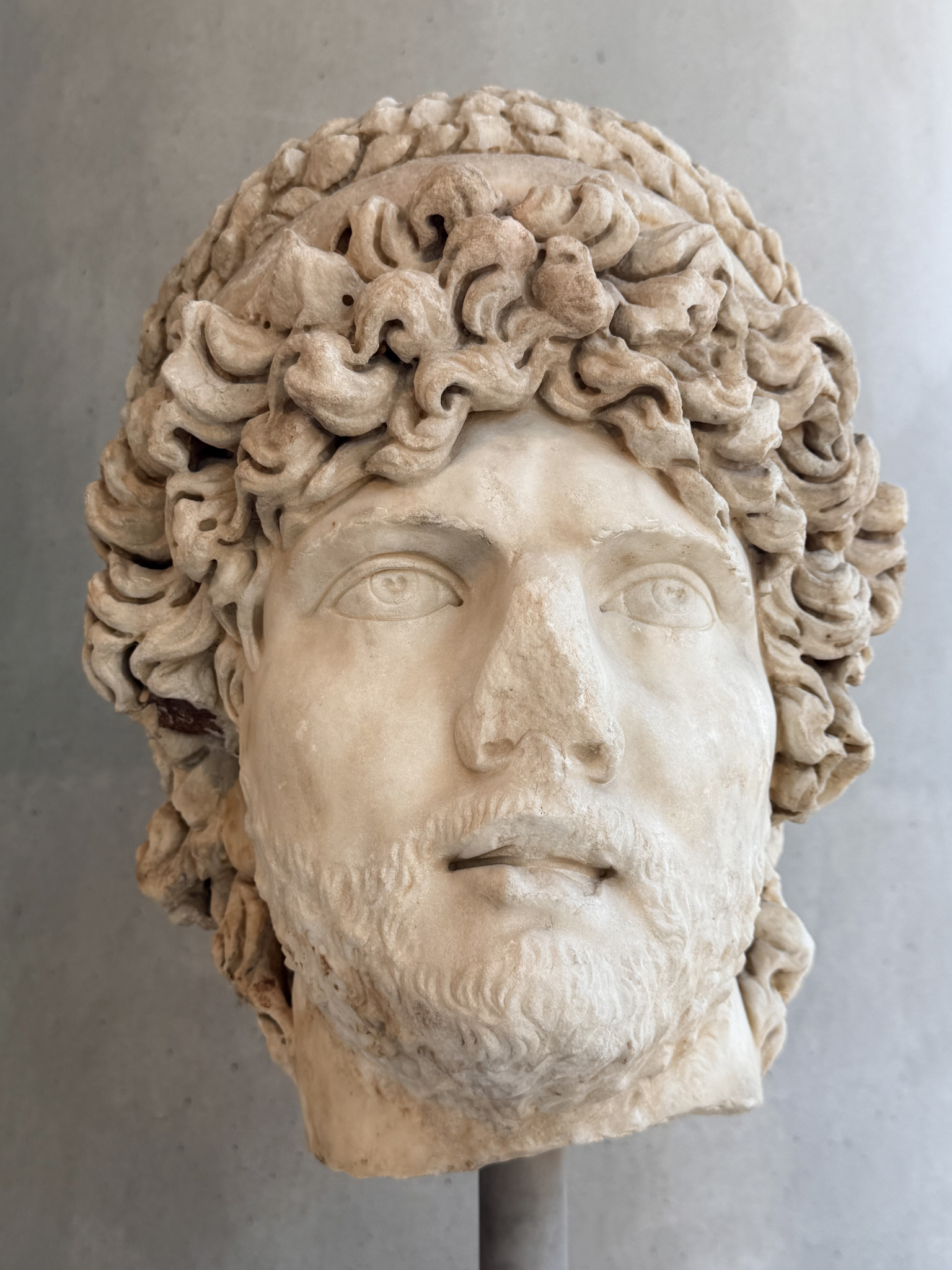 Head of a Statue of a Priest Head of a Statue of a Priest