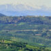 Rolling hills and silver-leafed olive groves outside Heraklion, Crete
