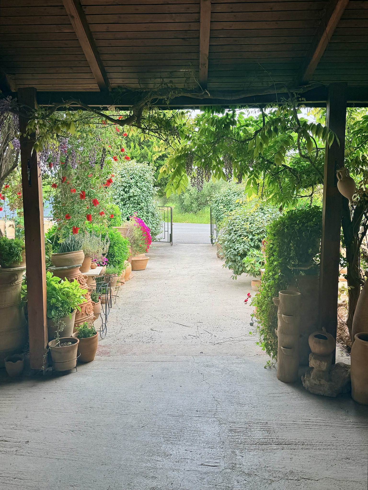 Lush gardens surrounding Nikos Ploumakis's pottery workshop Lush gardens surrounding Nikos Ploumakis's pottery workshop